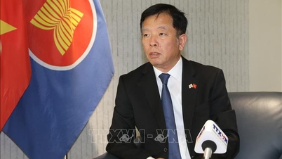 Vietnam határozottan elkötelezett a gazdasági együttműködés és integráció folyamata mellett.