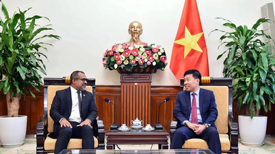 Vietnam-Maldivler ilişkilerinin daha da önemli bir gelişmeye ulaştırılması