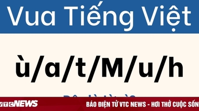 Acertijos que hacen que los jugadores de palabras se rindan