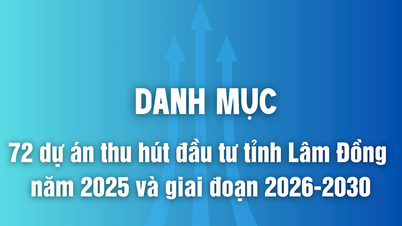 Informations sur 72 projets d'attraction d'investissements dans la province de Lam Dong en 2025 et la période 2026-2030