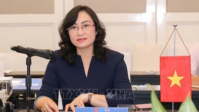 Вьетнам и Аргентина проводят 8-ю сессию Межправительственного комитета