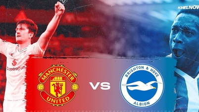Palpite MU x Brighton: Red Devils aproveitam a vitória