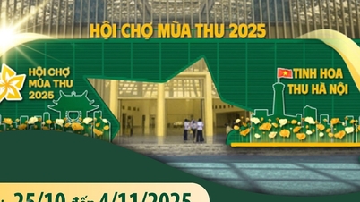 فال فیئر 2025: 'چھٹا سپر فیئر'