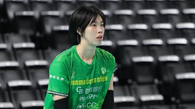 Today's Japanese volleyball tournament schedule: Thanh Thuy plays against her old team