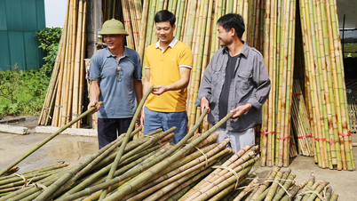 Bac Ninh: Menjaga api kerajinan bambu di Xuan Lai
