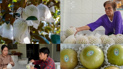 Khuyến công khu vực phía Nam tăng cường đổi mới, phát triển bền vữngBình chọn sản phẩm tiêu biểu - khởi đầu hành trình gia tăng giá trị