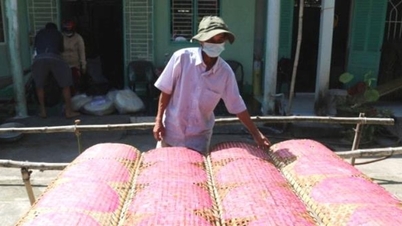 Khuyến công khu vực phía Nam tăng cường đổi mới, phát triển bền vữngBố trí kinh phí khuyến công quốc gia ổn định, dài hạn