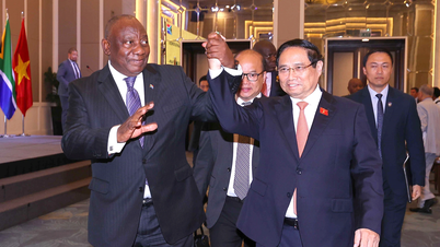 Memanfaatkan potensi kerja sama antara Vietnam dan Afrika Selatan