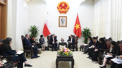 Visestatsminister Bui Thanh Son mottok Republikken Polens visestatsminister og minister for digitale saker