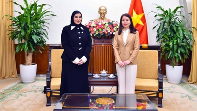 Biträdande utrikesminister Nguyen Minh Hang tog emot Qatars utrikesministeriums statssekreterare