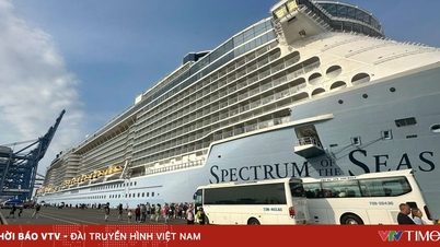 Ciudad Ho Chi Minh invertirá en tres puertos para recibir visitantes internacionales en Vung Tau y Khanh Hoi.