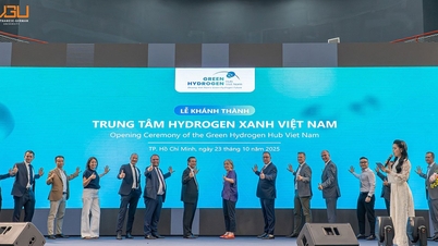 La Universidad Vietnam-Alemania incuba soluciones de energía limpia