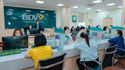 BIDV Binh Dinh: ڈیجیٹل تبدیلی کا علمبردار، سبز ترقی کی قیادت