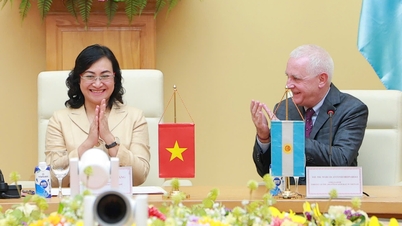 8ª Reunião do Comitê Intergovernamental Vietnã-Argentina sobre cooperação econômica, comercial e científica e tecnológica