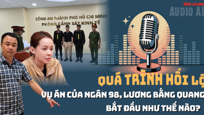Áudio: Visão geral do caso de Ngan 98 e Luong Bang Quang - Da venda de produtos falsificados ao suborno de 8 bilhões de VND