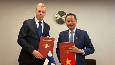 Promover a cooperação entre o Vietname e a Finlândia para o desenvolvimento sustentável