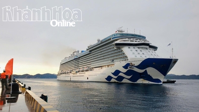 Khanh Hoa welcomes international cruise ship Discovery Princess with 1,200 tourists
