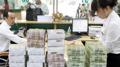 منی لانڈرنگ کے خطرات کے خلاف مالی لچک میں اضافہ
