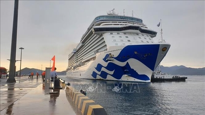 Portul Internațional Cam Ranh a primit nava de croazieră internațională Discovery Princess cu 1.200 de pasageri