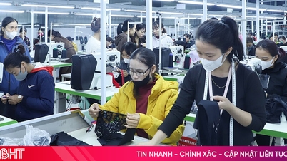 Die Attraktivität des Industrieclusters im Norden von Ha Tinh