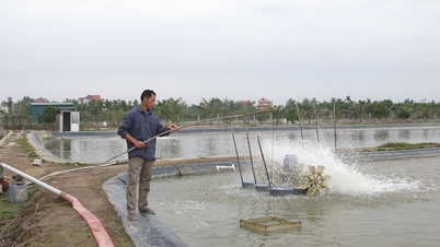 Las fuentes de agua contaminadas dificultan la acuicultura.