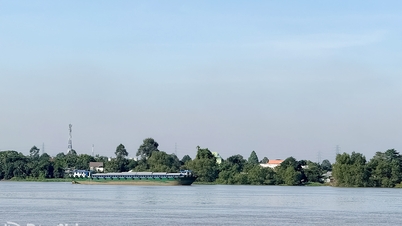 El nivel del agua en el bajo río Dong Nai es alto