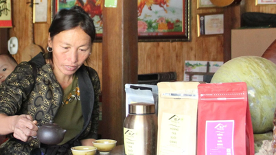 ការពង្រឹងថាមវន្តពីដើមតែ Shan Tuyet