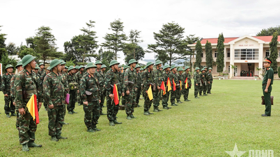 Artilleri - Missilkommando: Inspeksjon av Artilleriregiment 4, Divisjon 10, Korps 34