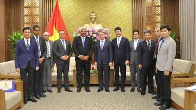 Renforcer davantage l’amitié et la solidarité particulières entre le Vietnam et Cuba