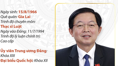 Neuer stellvertretender Premierminister Ho Quoc Dung