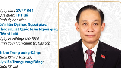 Bộ trưởng Bộ Ngoại giao Lê Hoài Trung