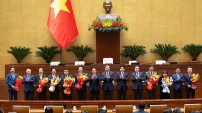 Ulusal Meclis ve Hükümetin personel ve teşkilatının mükemmelleştirilmesi