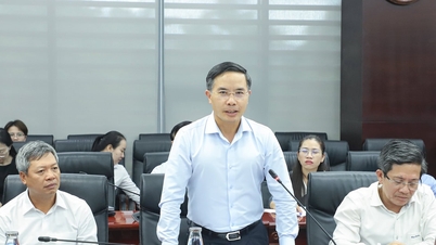 Promover vantagens para levar Da Nang ao nível regional