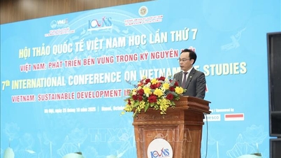 Conferencia Internacional sobre Estudios de Vietnam: Llevando a Vietnam hacia el desarrollo sostenible en la nueva era
