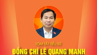 RINGKASAN BIOGRAFI KAMRAD LE QUANG MANH