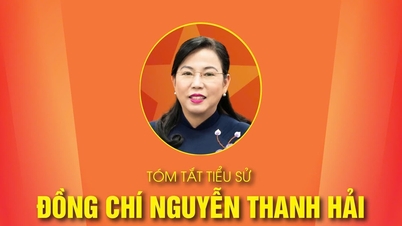 RINGKASAN BIOGRAFI Kawan NGUYEN THANH HAI