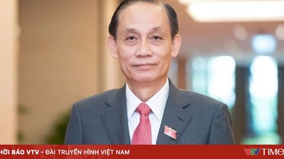 [Infografikk] Utenriksminister Le Hoai Trung