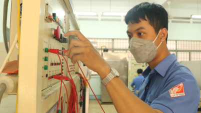 Zahlreiche Verstöße am Ly Tu Trong College in Ho-Chi-Minh-Stadt entdeckt
