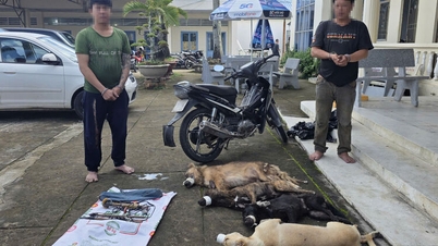 Bắt quả tang hai đối tượng sử dụng súng điện tự chế để trộm chó