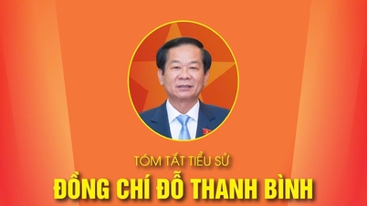 RINGKASAN BIOGRAFI KAMRAD DO THANH BINH