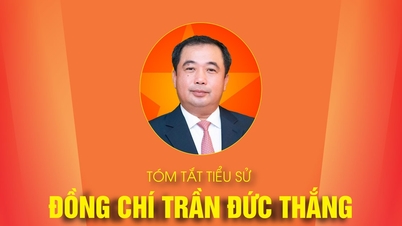 RINGKASAN BIOGRAFI KAMRAD TRAN DUC THANG