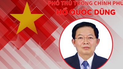 INFOGRAFIK: Biografi Wakil Perdana Menteri baru Ho Quoc Dung