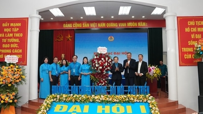 Phấn đấu 100% đoàn viên khó khăn được chăm lo, bảo vệ