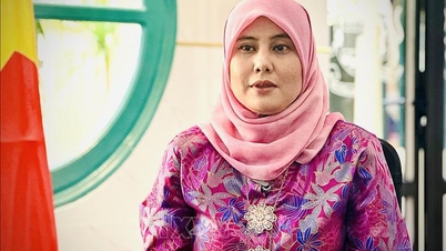 Lawatan kerja Perdana Menteri Pham Minh Chinh adalah sangat penting kepada ASEAN.