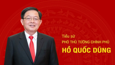 [Infografic] Biografia viceprim-ministrului Ho Quoc Dung