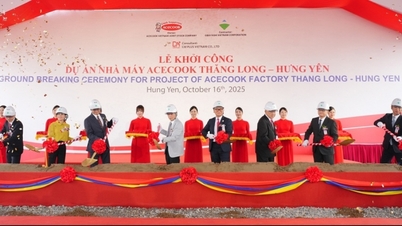 Acecook Vietnam inicia la construcción de la fábrica de Thang Long: un nuevo paso en el camino para llegar al mundo.