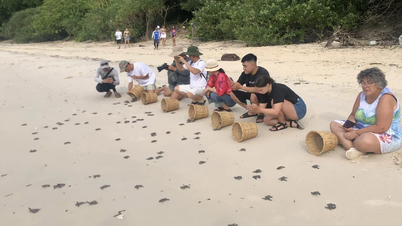 ປ່າສະຫງວນແຫ່ງຊາດ ໂກນດ່າວ ປ່ອຍເຕົ່າ 120,000 ໂຕ ລົງສູ່ທະເລ