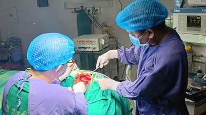 Pusat Perubatan Wilayah Chiem Hoa: Pembedahan yang berjaya pada tumor muka dan pembedahan plastik untuk pesakit