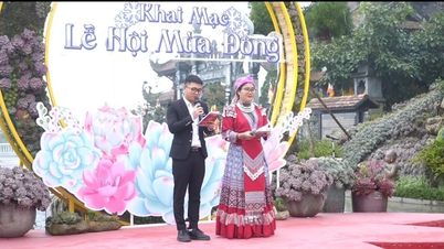 Sa Pa: Khai mạc Lễ hội Mùa Đông và Lễ hội Hoa Sen đá 2025