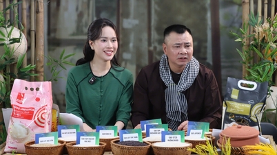 Artist Tu Long livestreams to sell agricultural products, customer orders 6 tons of ST25 rice